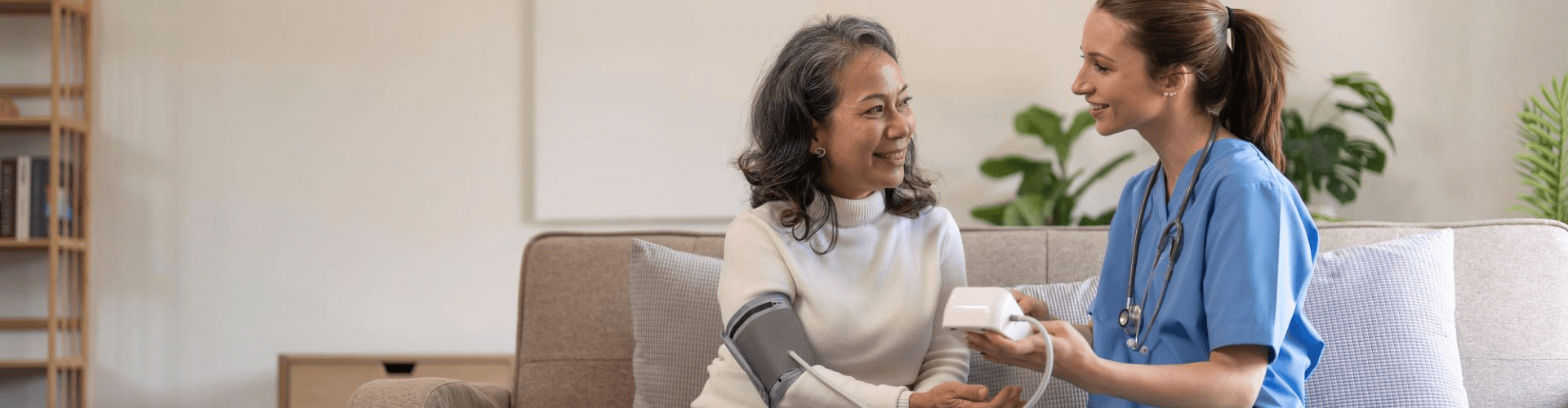 Healthcare Industry: Home Health Care Services