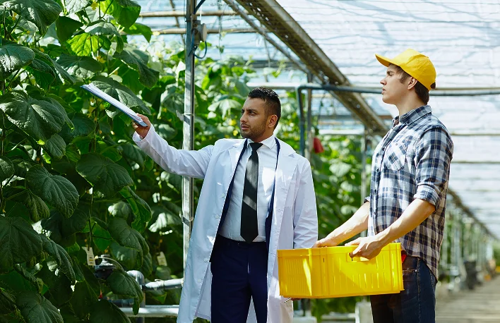 Agricultural Sales Surveys